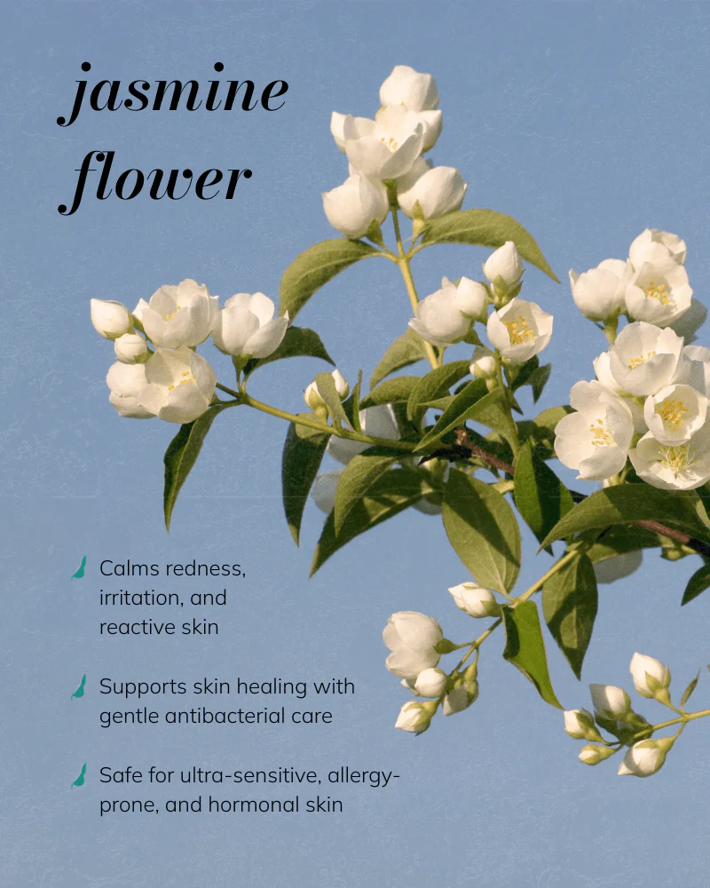 Jasmine Ritual Trial & Travel Kit - Image 6