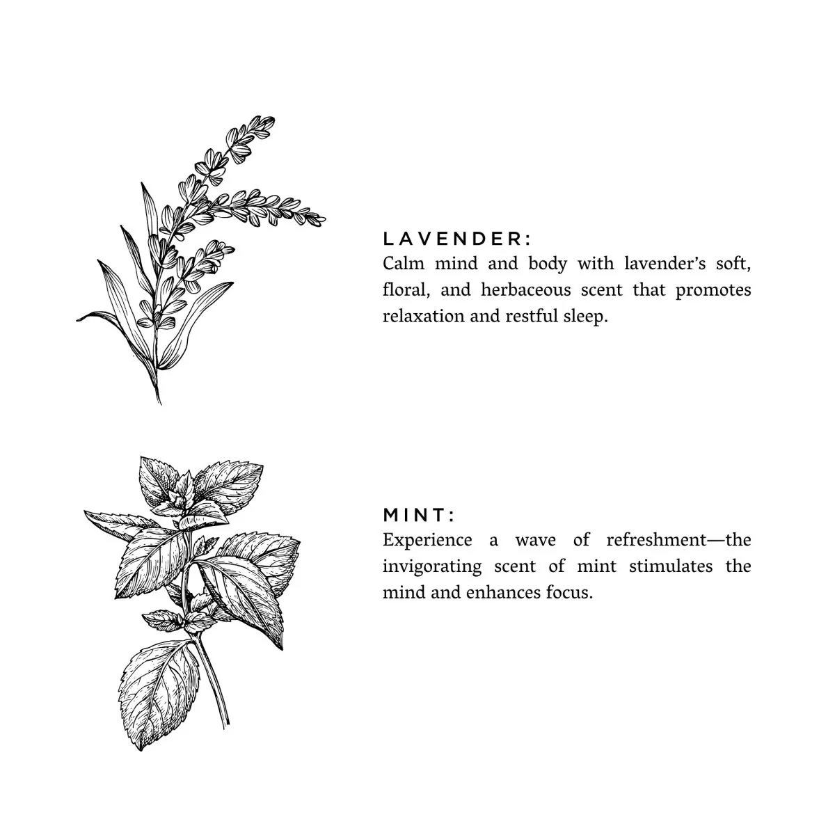 Mini Linen Spray - Lavender & Mint - Image 3