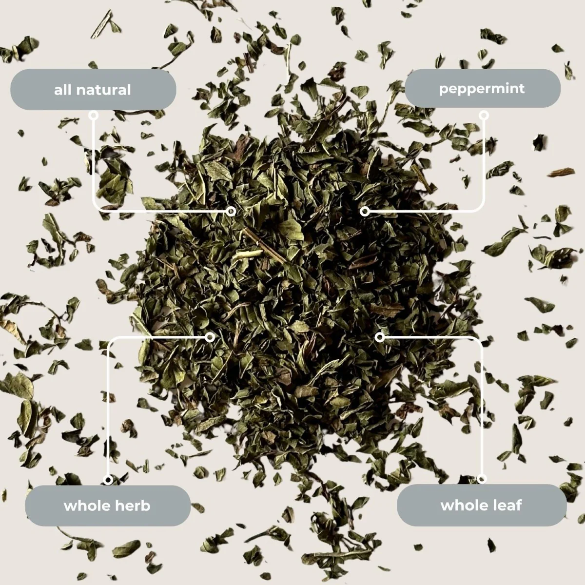 Peppermint Mini Tea Tube – Crisp Herbal Blend (5 Sachets) - Image 4